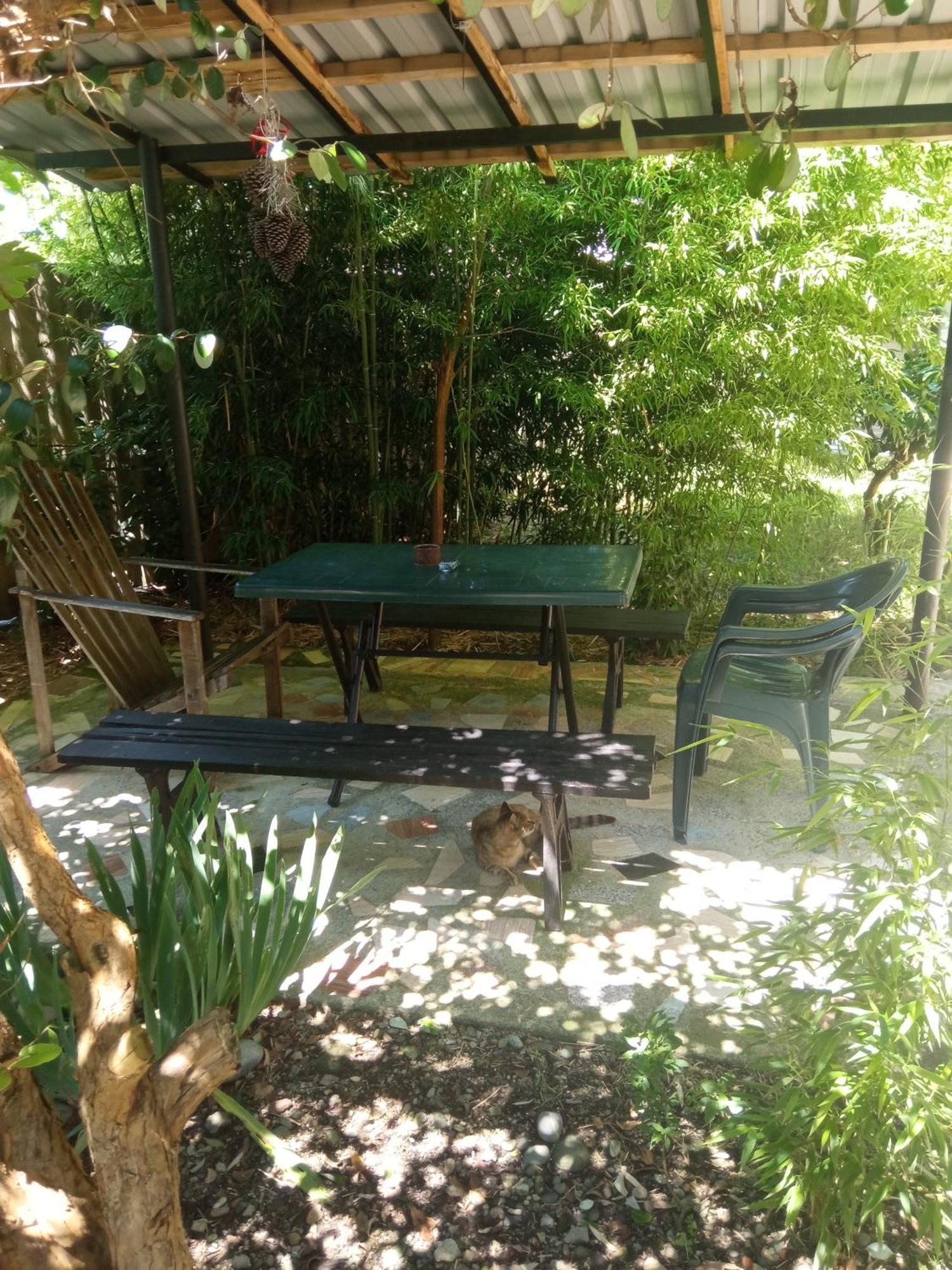 Zaza Kobuleti Exterior foto